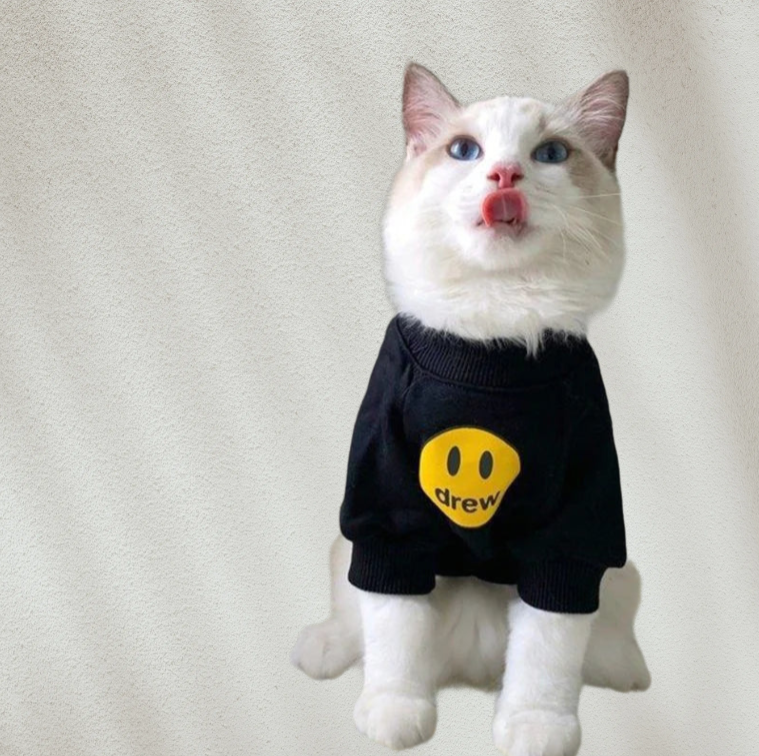 Sweat-shirt Smiley  tendance pour chat et chien