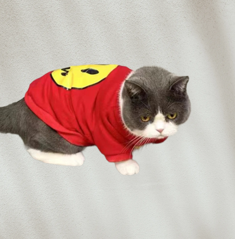 Sweat-shirt Smiley  tendance pour chat et chien