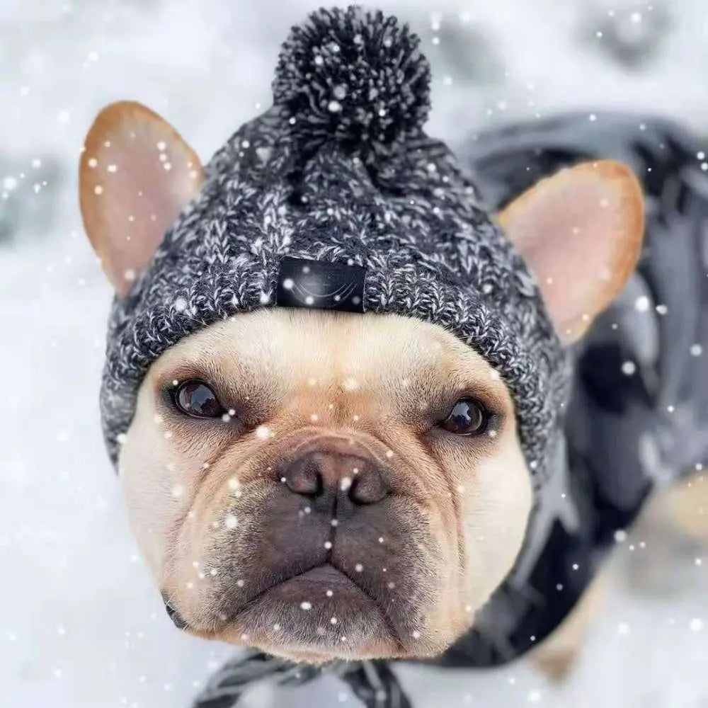 Bonnet d'Hiver tricoté chaud et résistant à l'usure