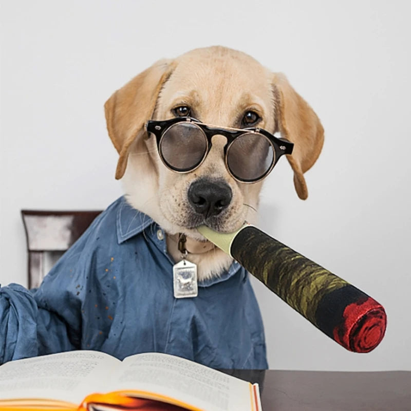 Jouet Interactif en Forme de Cigare pour Chien