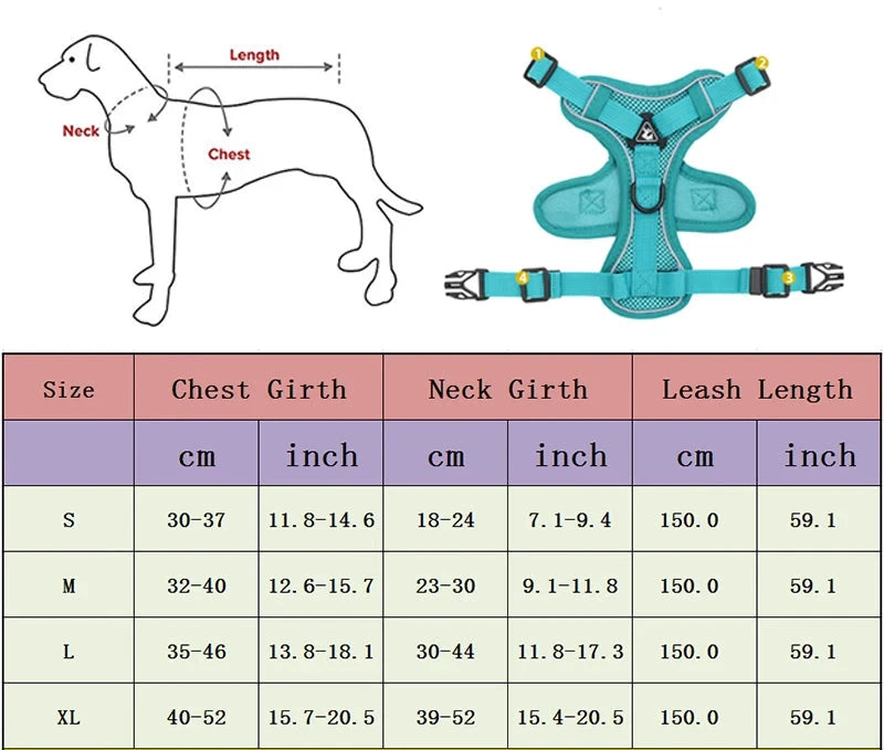 Ensemble harnais et laisse pour chien anti-traction